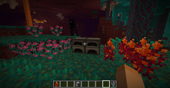 Nether Flowers