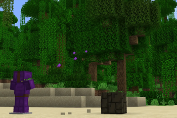 Example wand in action (1/2)