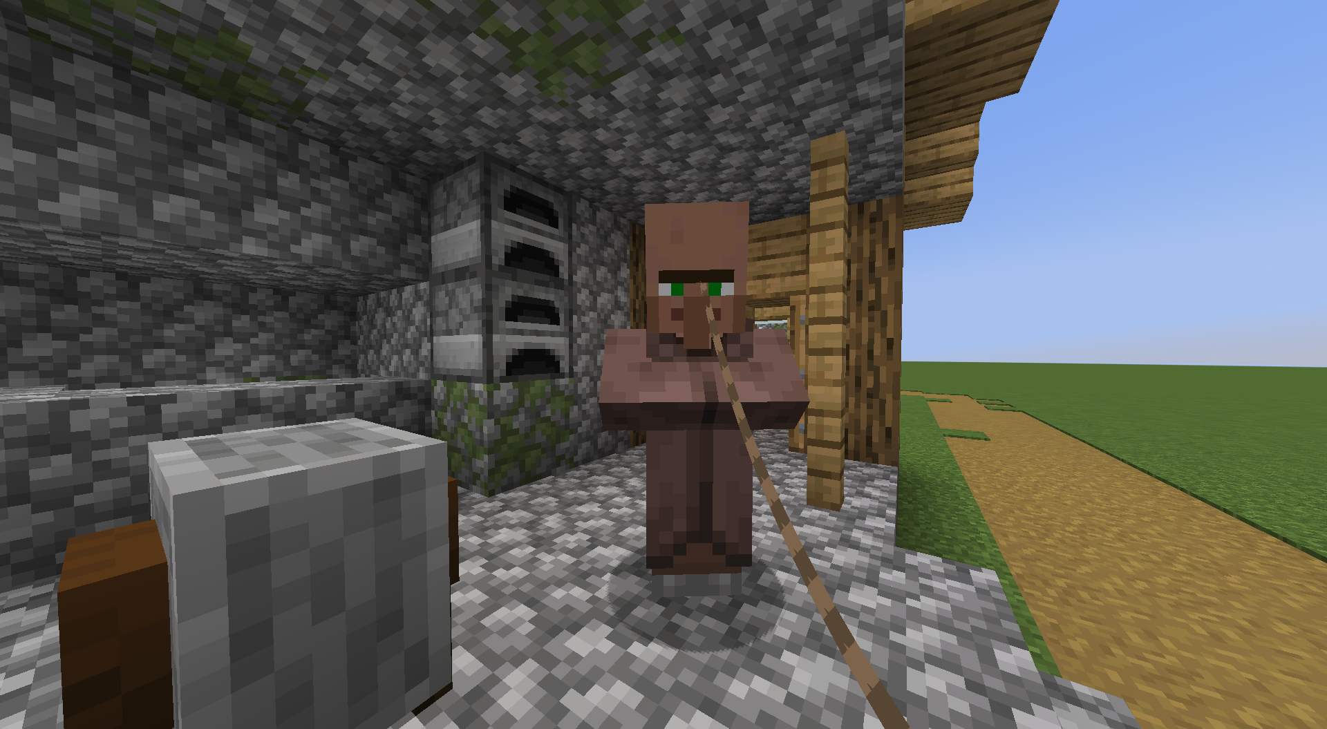 Villager Leads Gallery