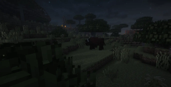 MORE ANIMALS