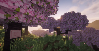 BG IMG
