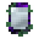 Instant World Mirror