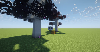Gravitropic Node