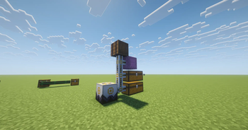 Mycelial Networking!