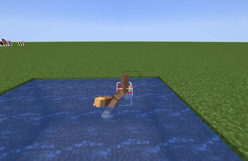 swimming