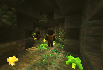 Cuevas