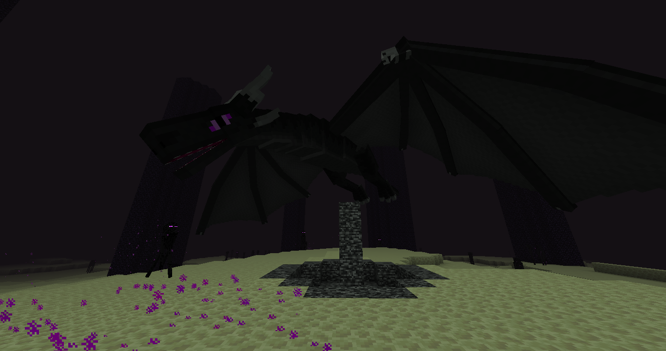 Void Dragon at The End