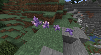 Amethyst Crystals