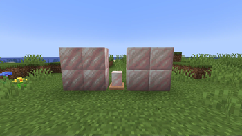 Salt Blocks