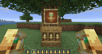 With Resource Pack
