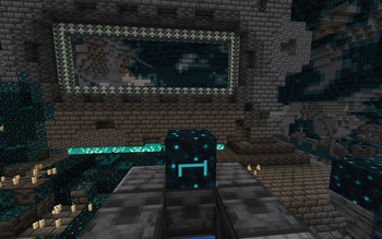 Echo Shulker Box