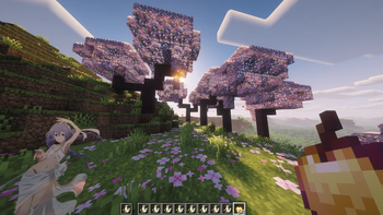 Roxy Totem — screenshot 2
