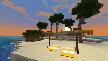 Coconut Palm Trees!