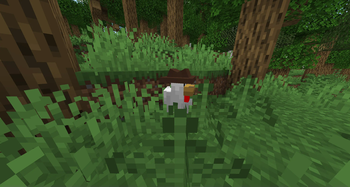 chicken