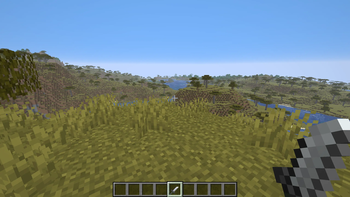 Diamond Sword texture in First Person