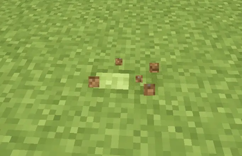 Better-Cracks-R1.0