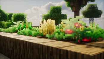 Survival Reworked