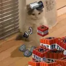 cozyknatto