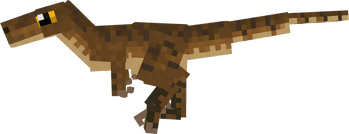 Raptor