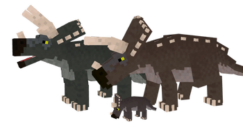 Triceratops
