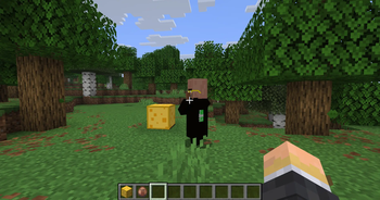 Weirdo villager