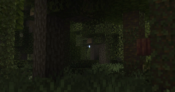 Jungle