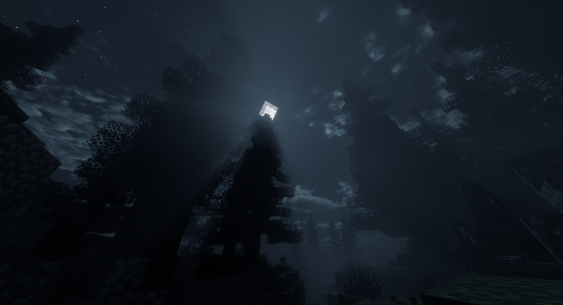 DERCODE - 13