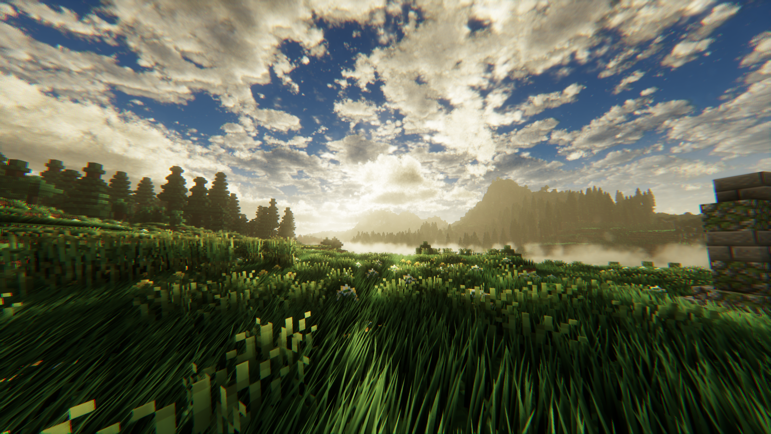 DERCODE - 22