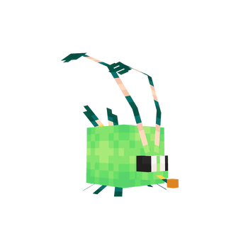 Amphid