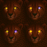 IlluzCat