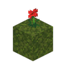 Moss Fix