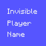 Invisible Player Name