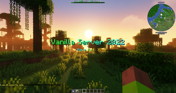 Vanilla Server 2022