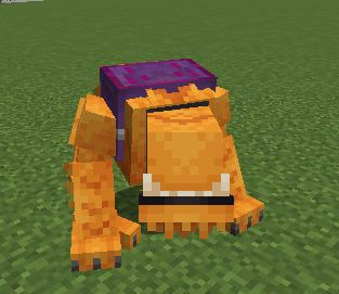 Bulldog