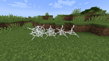 Cobwebs changed!