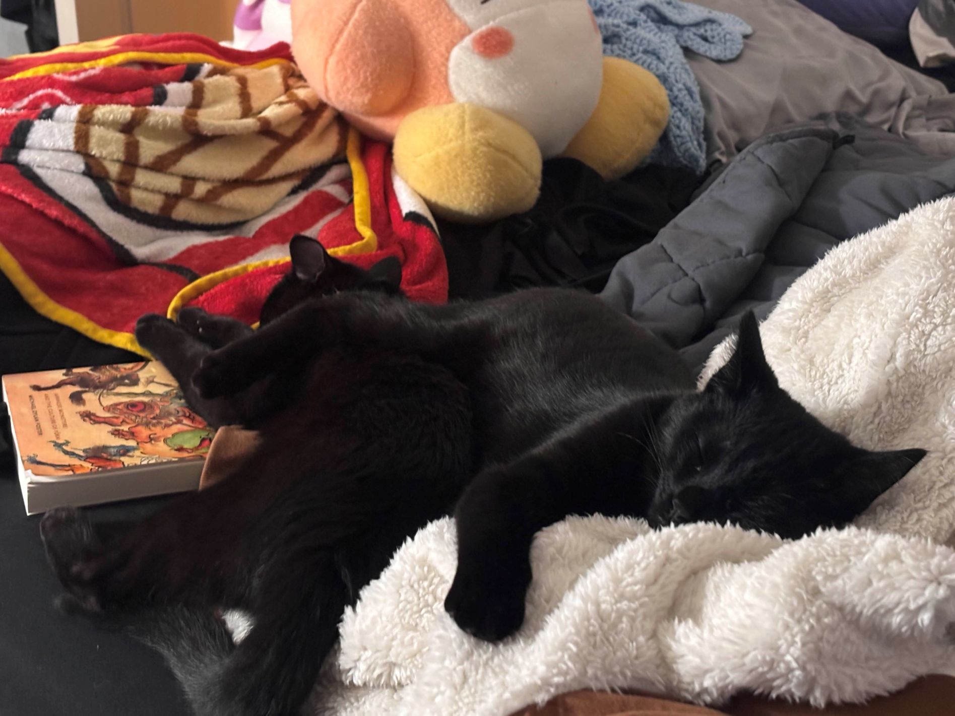 Sofa Cobblemon