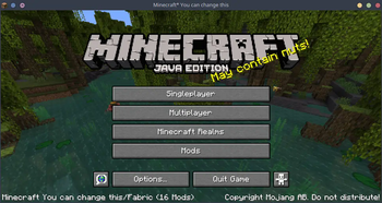 You can see the custom version number both in the window title and towards the bottom left