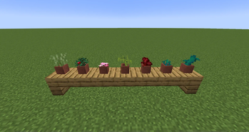 More Flower Pots