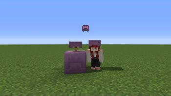 Shulker Shell Helmet