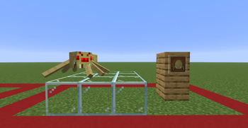 New Sulfur spider.