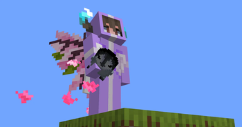 3rd person view of the totem