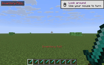 inventory_full