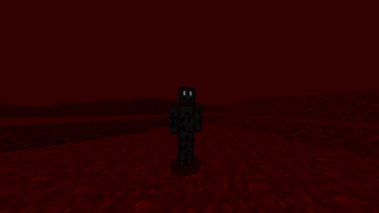 Watcher