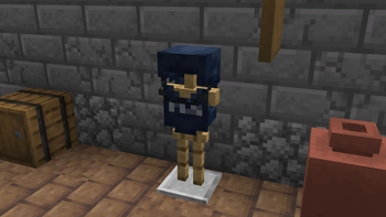 on an armor stand