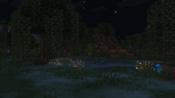 The Murky Swamp