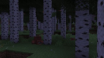 Bears Sleeping Peacefully