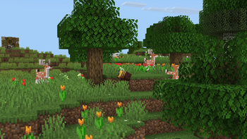 Deer Hanging Around