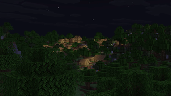 Forest Village at Night
