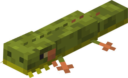 lizard