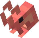 shrimp